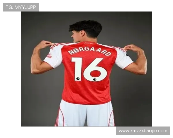 31岁诺尔高谈加盟阿森纳后的新角色与适应过程分享